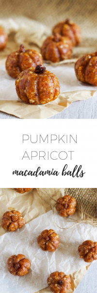 Pumpkin apricot macadamia balls