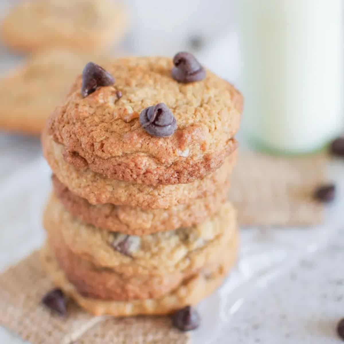 Chewy chocolate chip cookies