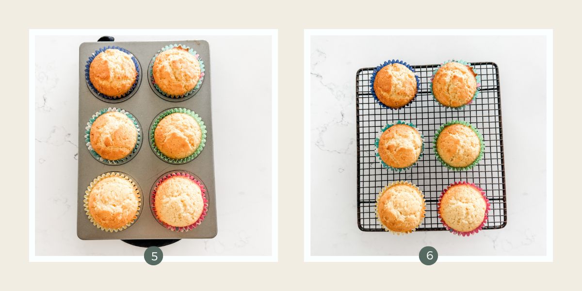 Vanilla cupcakes in tray fresh out of oven and then cooling on a wire rack.