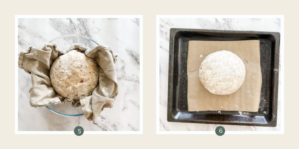 Ball of dough risen in floured tea towel and on oven tray ready to bake. 