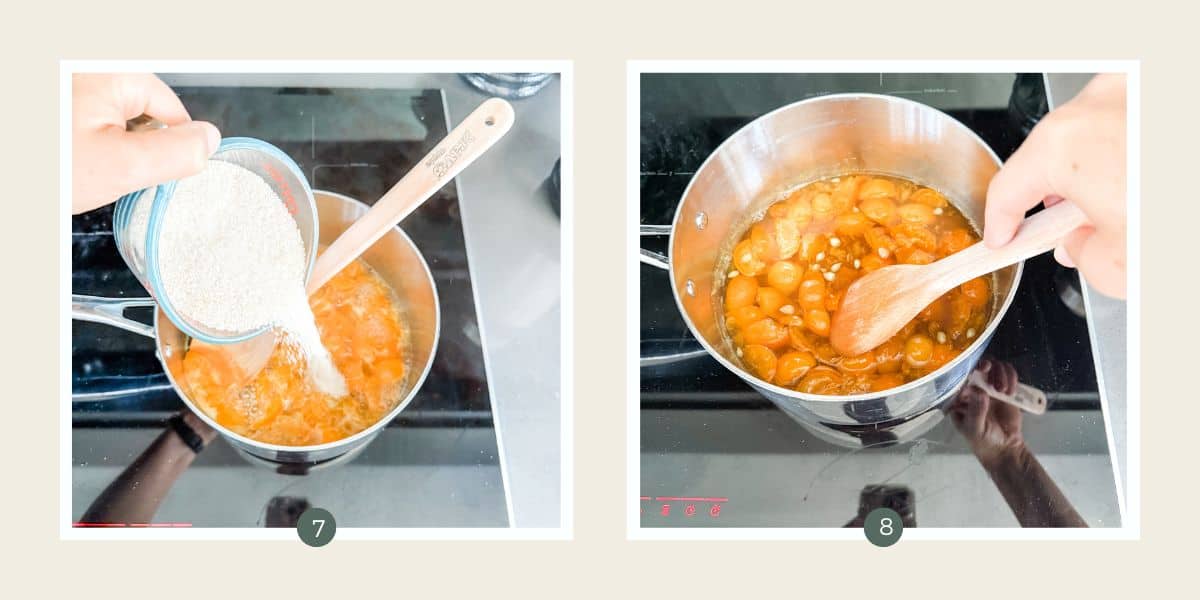 Pouring sugar into a pot of cumquats in water wtih a wooden spoon on top of an induction cook top & stirring the sugar into a pot of cumquats boiled in water.