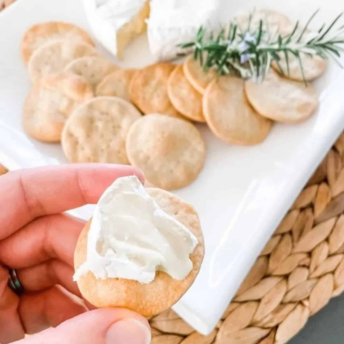 Homemade water cracker biscuit topped with white brie cheese in a white hand. In the background is a square white plate with more crackers and rosemary.