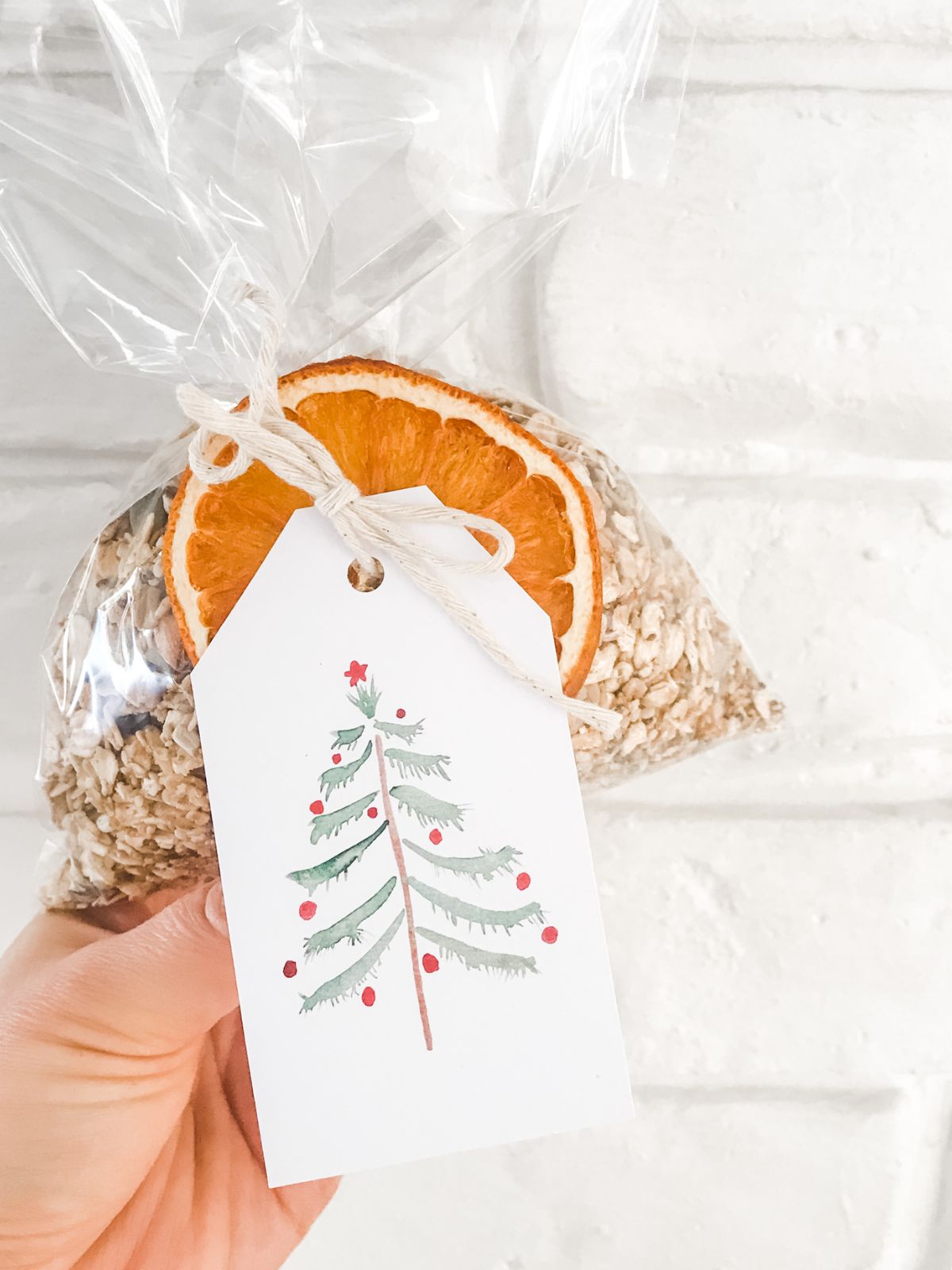Dried orange slice on bag of homemade muesli. 