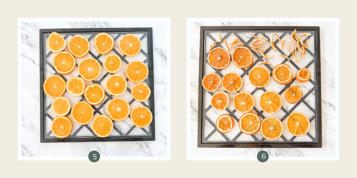 Sliced oranges on a dehydrator rack on top of a white marble bench top and then dried. 
