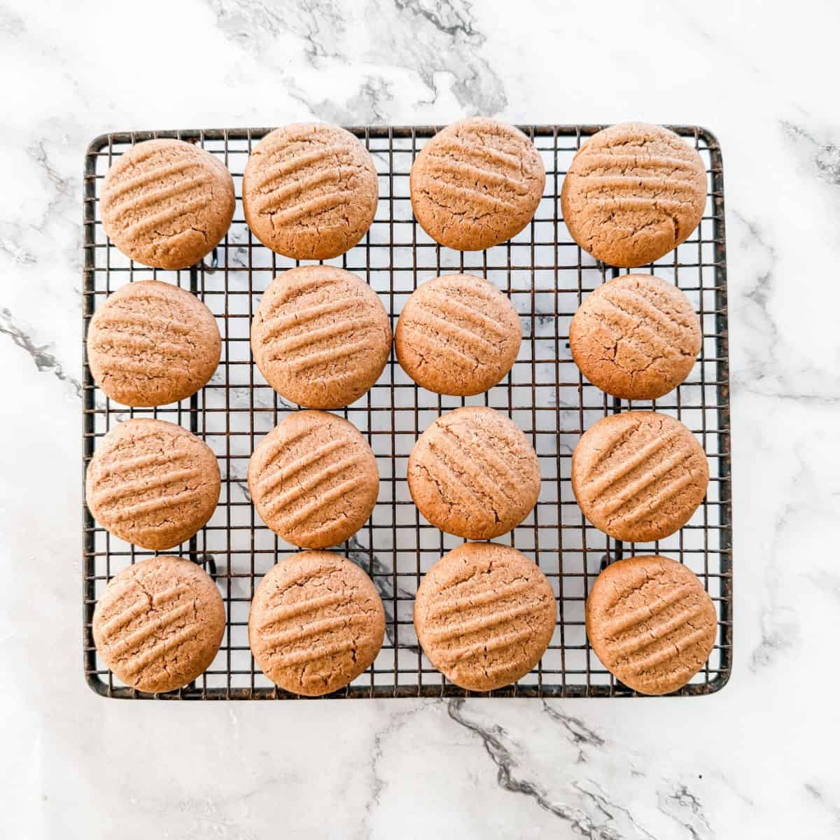 Baked Milo Biscuits cooling on cooling rack. 