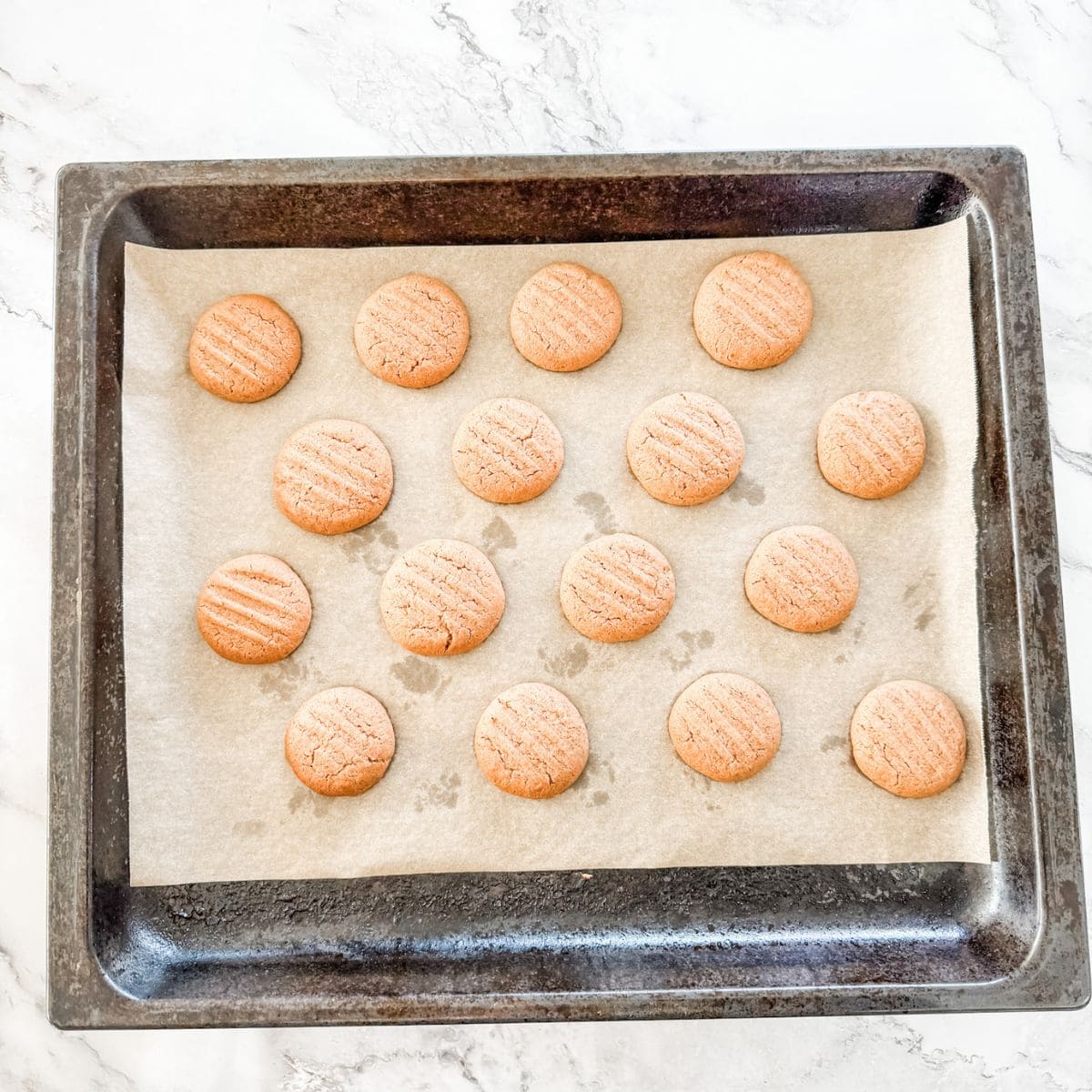 Baked Milo Biscuits resting on oven tray. 