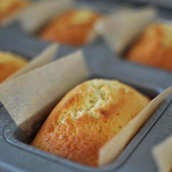 Mini loaf cake still in tin lined with baking paper