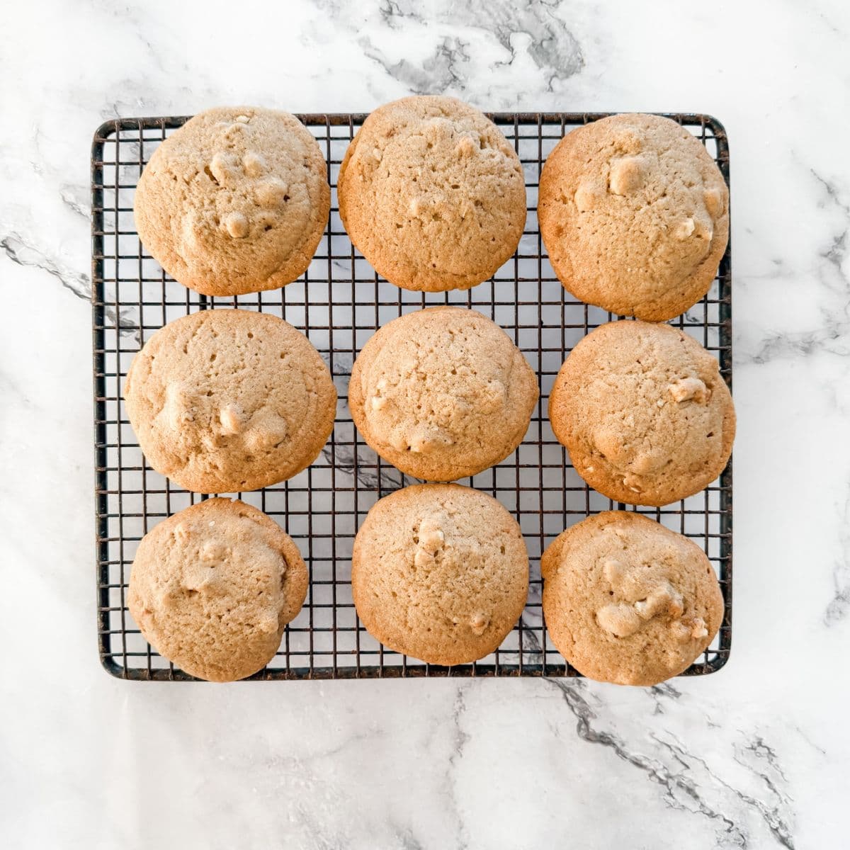 Light brown cookies freshly baked on a cooling rack.