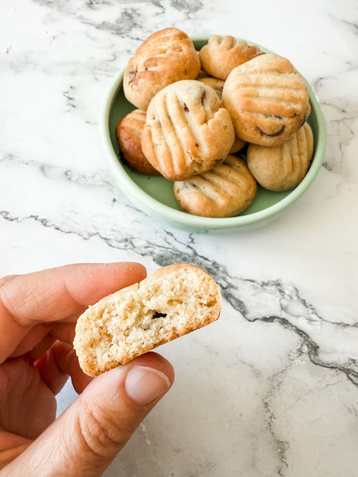 Half a chocolate Sante Biscuit held in a hand with a bowl of chocolate chip cookies.