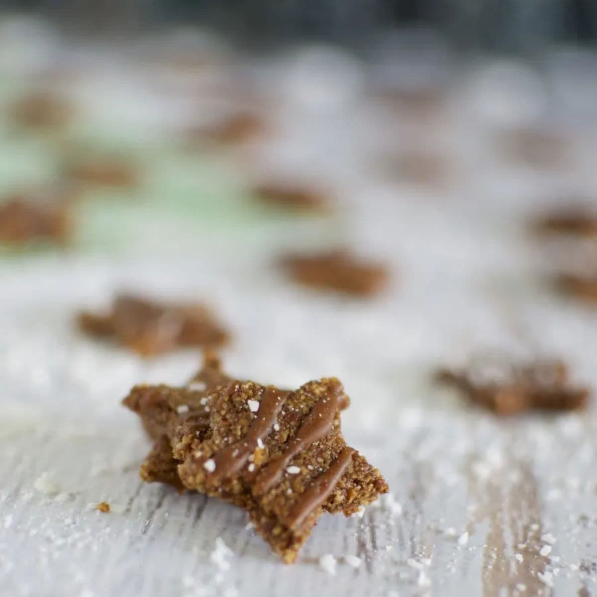 Paleo gingerbread