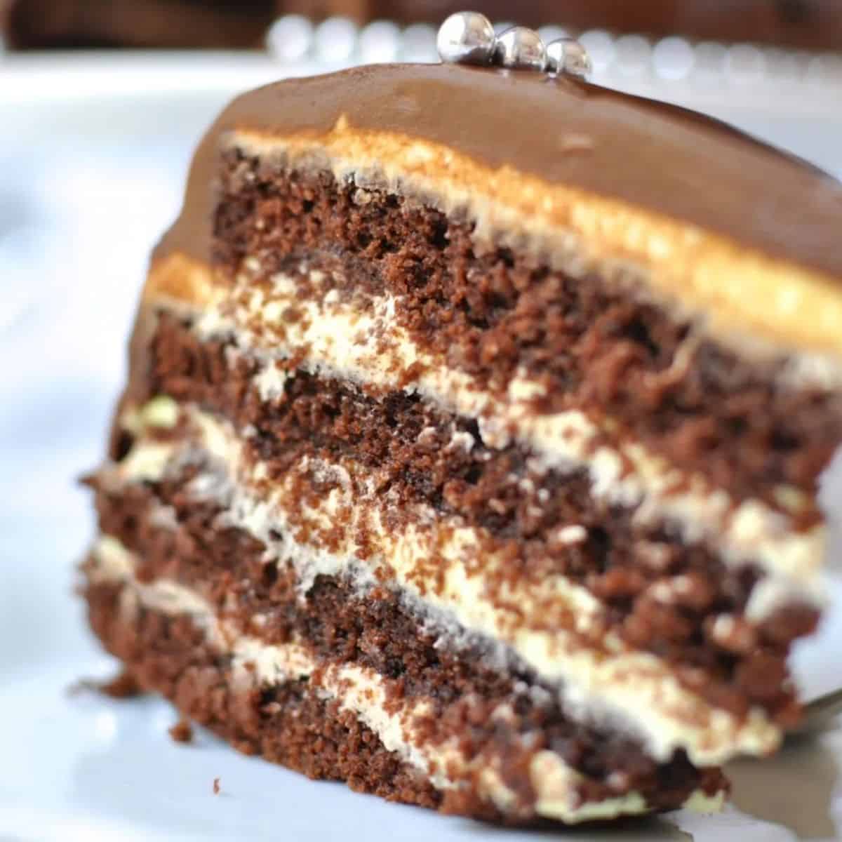 Choc peppermint mud cake