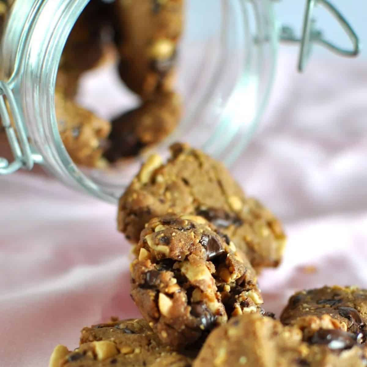 Gluten free chocolate peanut butter biscuits
