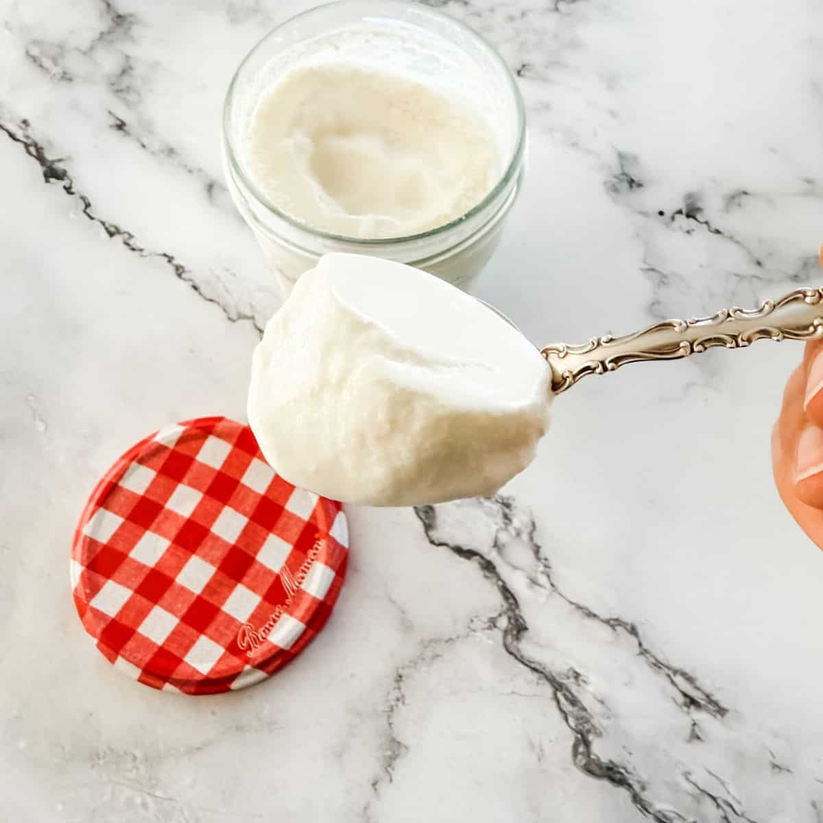 Spoon full of yoghurt with pot of homemade yoghurt in the background.